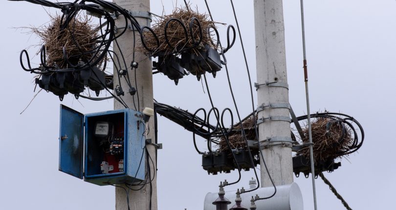 Electrician in Swaziland, tips and tricks