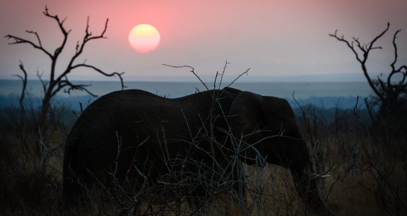 Visit Swaziland and experience its beauty